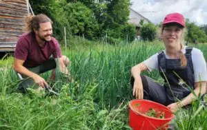 Hausenhofmitarbeiter jätet Unkraut mit einer Bewohnerin