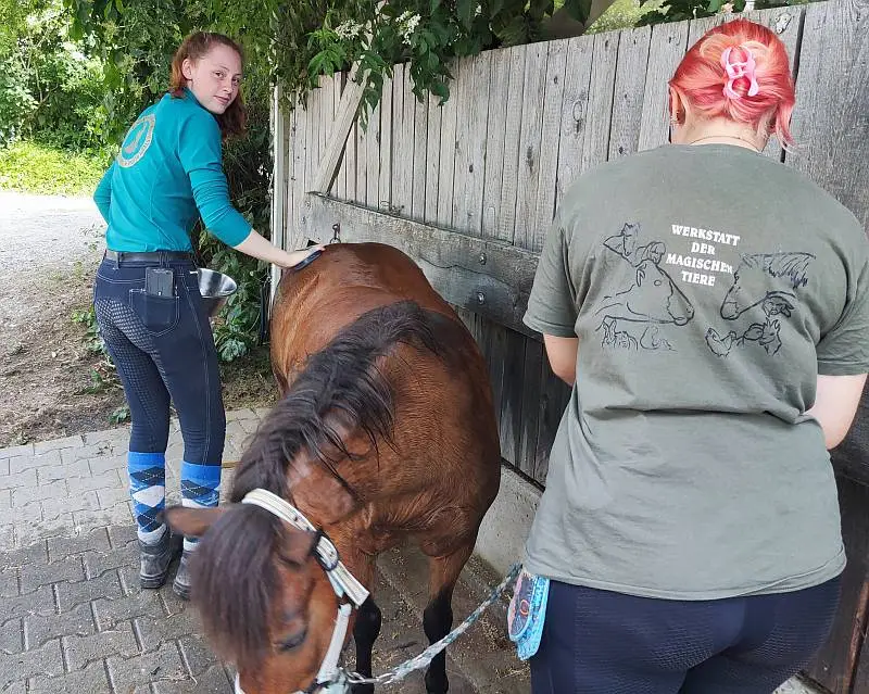 Bewohner und Mitarbeiter kümmern sich um ein Pferd