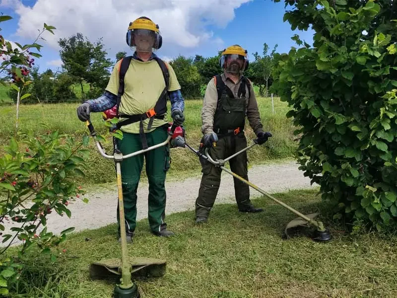 Betreuer und Bewohner mähen den Rasen mit elektrischen "Sensen"